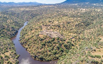 Yacimiento Ciudad de Vascos