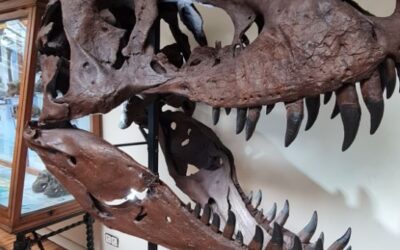 Los Mejores Museos con Niños en Madrid