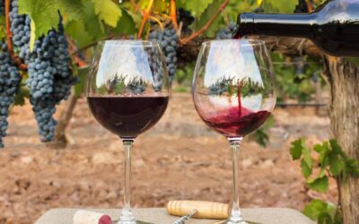 Bodegas del Marqués de Griñón, Dominio de Valdepusa