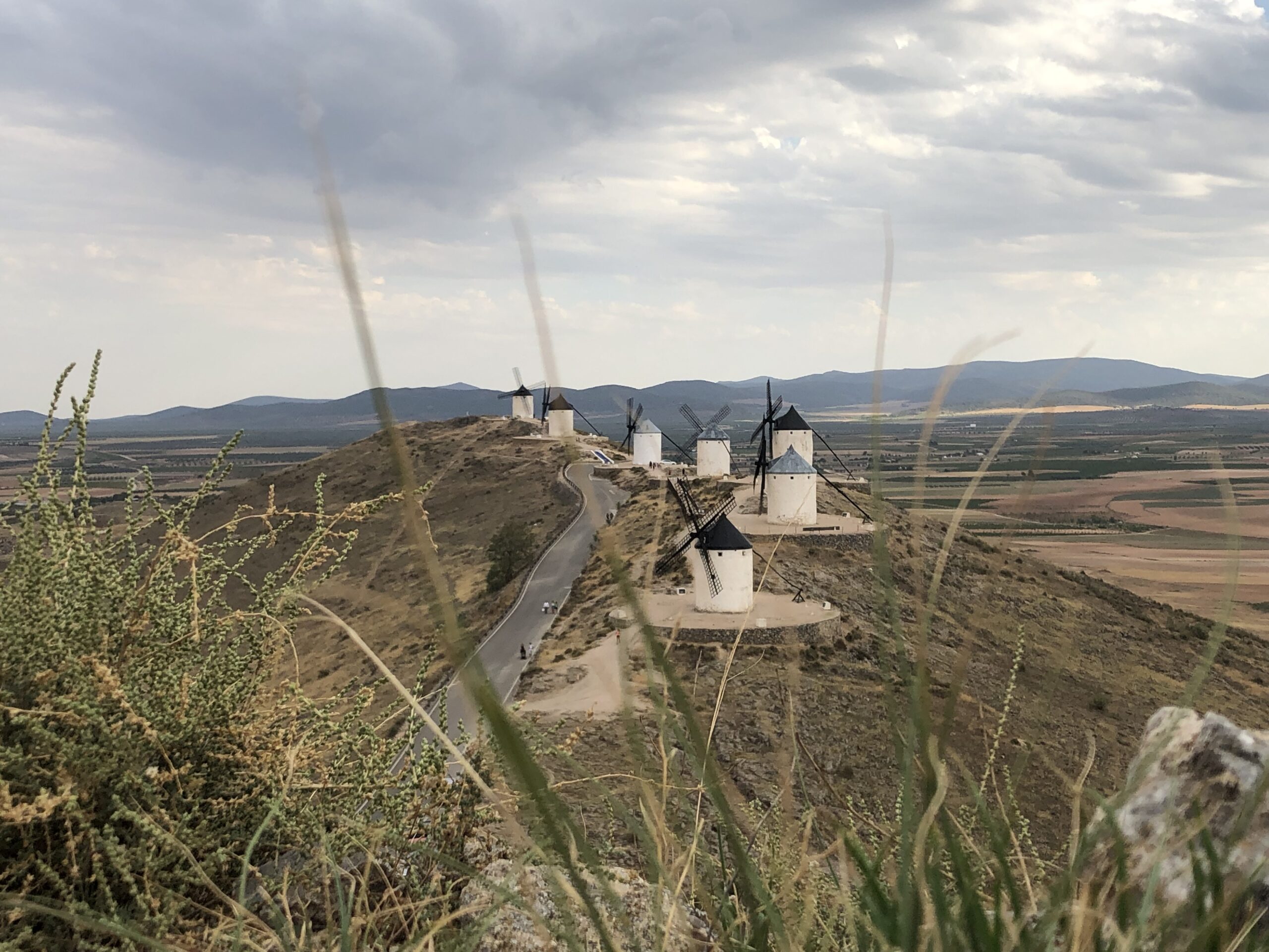 Vista Molinos de Consuegra desde el Castillo