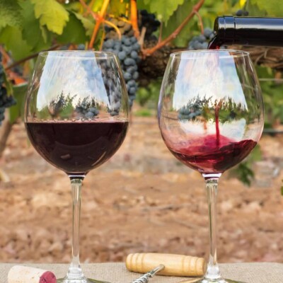 Enoturismo con Geatrips Enoturismo con Geatrips