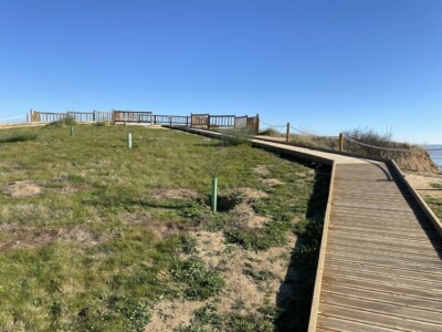 NATURALEZA BARRANCAS DE BURUJÓN - GEATRIPS