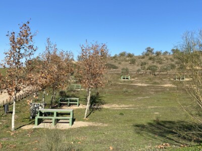 NATURALEZA BARRANCAS DE BURUJÓN - GEATRIPS