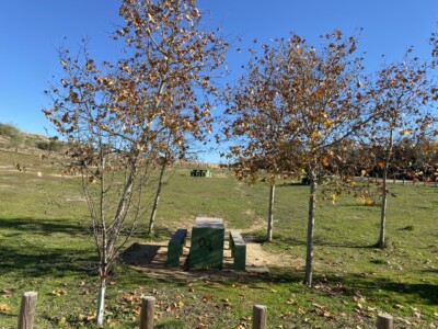 NATURALEZA BARRANCAS DE BURUJÓN - GEATRIPS
