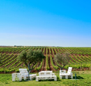 Finca Constancia Finca Constancia